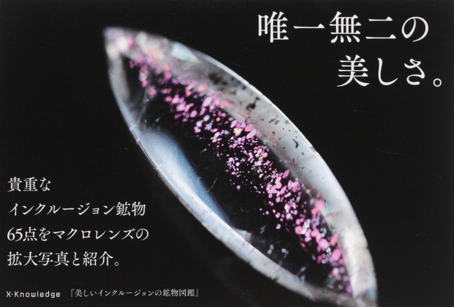 image4.jpeg